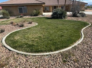 Phillip L.'s grass maintenance service result