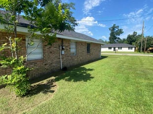 Patricia C.'s lawn care service result