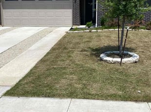 Stephen S.'s grass maintenance service result