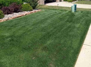 Pam H.'s grass cutting service result