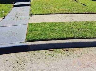 Ethan B.'s grass maintenance service result