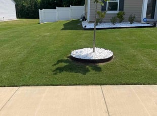 Aliyah T.'s lawn care service result