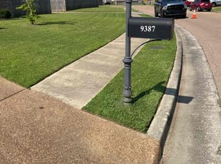 Thomas H.'s grass cutting service result