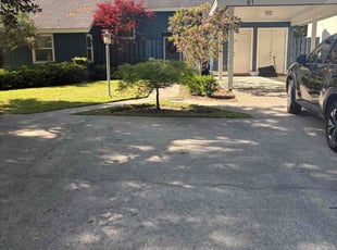 Lacey D.'s turf care service result