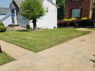 Kathleen R.'s grass cutting service result