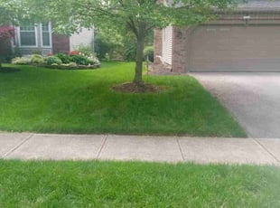 Brian J.'s yard maintenance service result