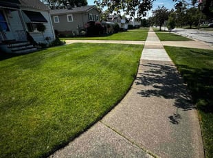 Rick K.'s grass maintenance service result