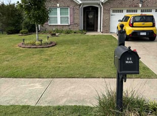 Lynette B.'s grass cutting service result