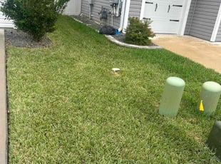 Elizabeth S.'s turf maintenance service result