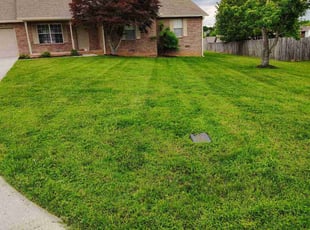 Daniel P.'s grass maintenance service result