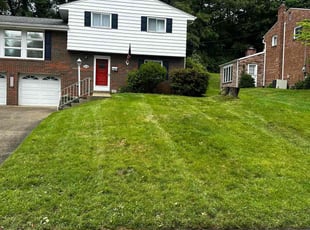 Nanette M.'s turf maintenance service result