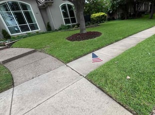 Landon K.'s turf care service result