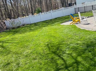 Reece R.'s turf maintenance service result