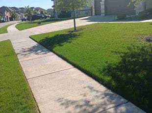Susan B.'s lawn service service result