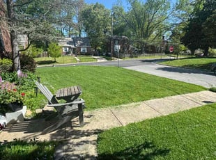Devin P.'s grass maintenance service result