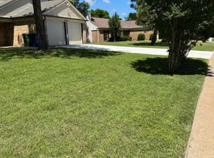 Bianca S.'s lawn service service result
