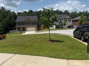 Fiona L.'s grass maintenance service result