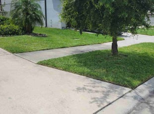 Annette K.'s turf maintenance service result