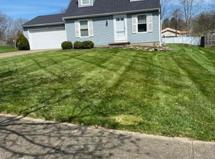 Steve B.'s grass cutting service result