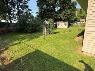 Shane V.'s lawn service service result
