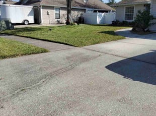 Tammy A.'s grass maintenance service result