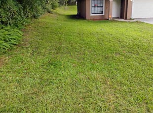 Serge Y.'s grass cutting service result