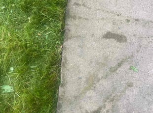 David S.'s lawn service service result