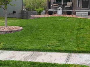 Patricia C.'s turf maintenance service result