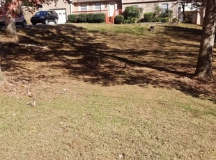 Karen K.'s Bush Trimming service result