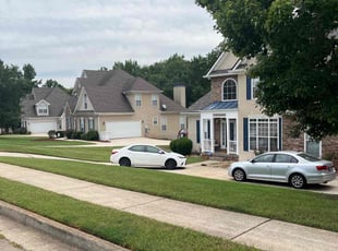 Cotina W.'s lawn care service result