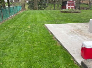 Nick S.'s yard work service result