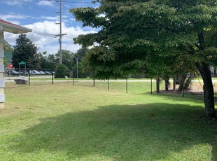 Kristin C.'s grass cutting service result