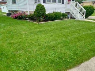 Zachary J.'s residential landscaping service result