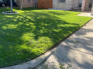 Kimberli C.'s turf maintenance service result