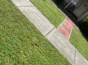 Marilyn S.'s lawn care services service result