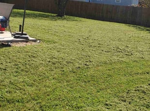 Gabriela H.'s lawn care service result