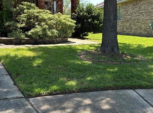 Kenya W.'s grass cutting service result