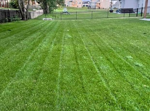 Bianca A.'s lawn service service result