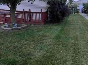 Jordan M.'s lawn service service result