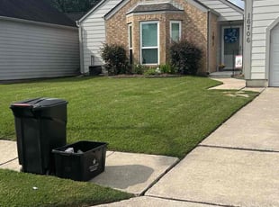 Jason H.'s turf care service result