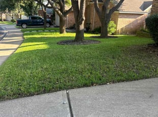 Samuel R.'s turf maintenance service result