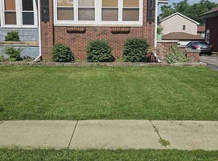 Mikayla G.'s turf maintenance service result