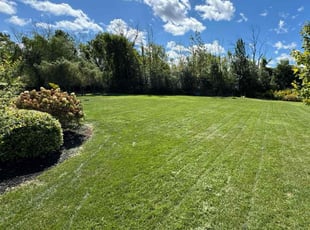 Rebecca F.'s turf care service result