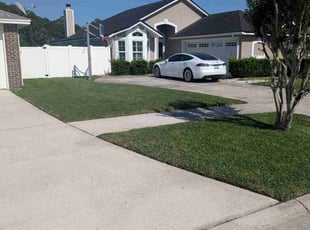 Zach L.'s lawn service service result