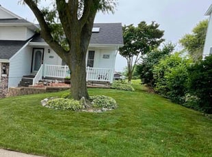 Amy E.'s lawn maintenance service result