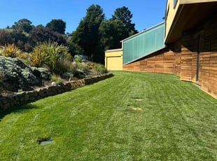 Kodjo A.'s lawn service service result