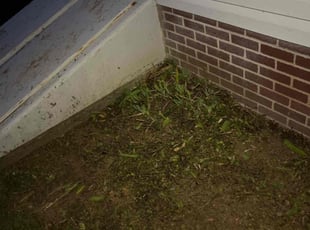 Dianne M.'s Flower Bed Weeding service result