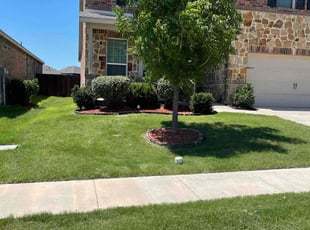Rey G.'s lawn maintenance service result