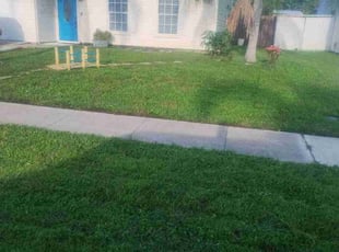 Elizabeth C.'s lawn care service result