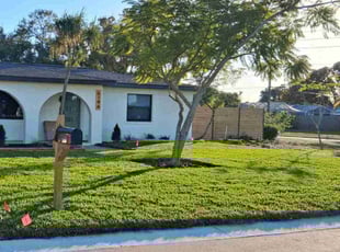 Wayne L.'s lawn maintenance service result